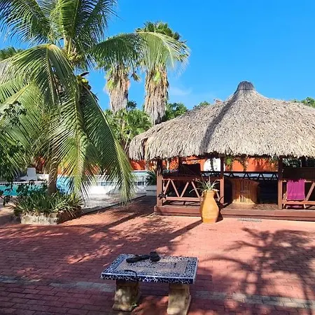 Woodstock Palmresort
